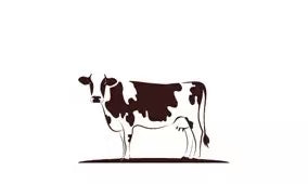 100% New Zealand Dairy